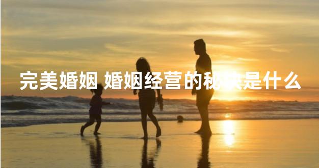 完美婚姻 婚姻经营的秘诀是什么